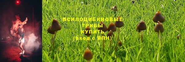 не бодяженный Аркадак