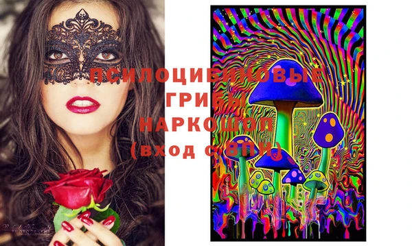 стафф Арсеньев