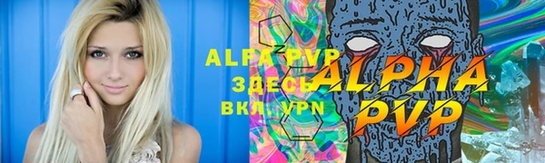 стафф Арсеньев